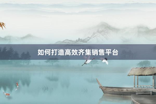 如何打造高效齐集销售平台