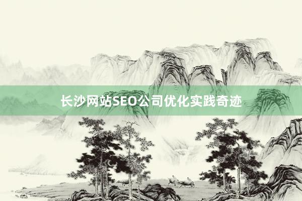 长沙网站SEO公司优化实践奇迹