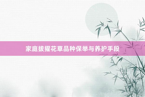 家庭拔擢花草品种保举与养护手段