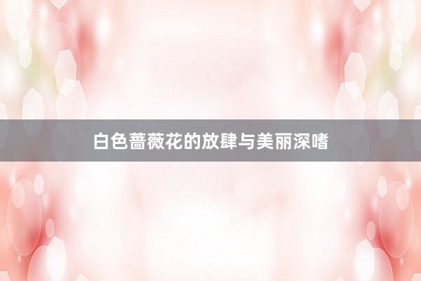 白色蔷薇花的放肆与美丽深嗜