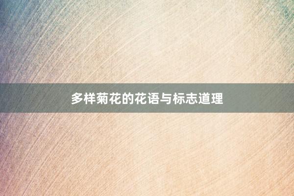多样菊花的花语与标志道理