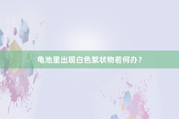 龟池里出现白色絮状物若何办？